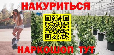 mdpv Ачхой-Мартан